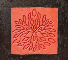 Designer Drain Covers2